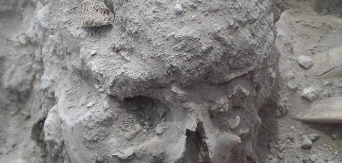 An Epic Archaeological Dig is Rushing to Excavate a Massive 2,600-Year-Old Cemetery in Armenia Teishebaini Urartu skull - Armen Martirosian - The Armenite