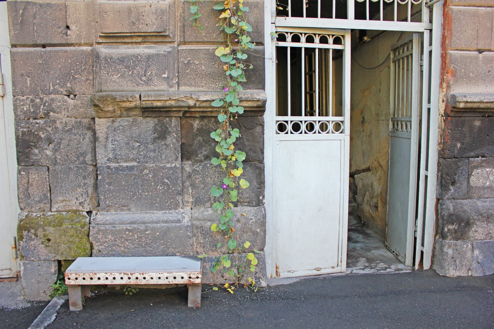 Benches of Yerevan Tatevik Vardanyan The Armenite03 The Armenite