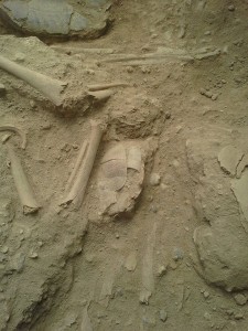 Teishebaini Urartu skeletal remains - Armen Martirosian - The Armenite